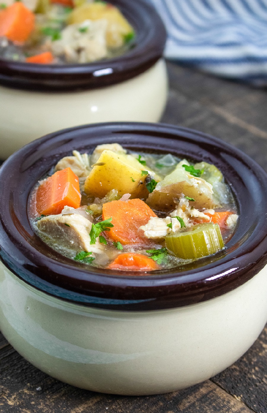Slow Cooker Chicken Vegetable Stew Recipe - The Free Cookbook Club